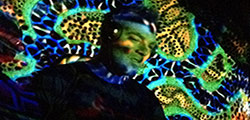 M.G.K. Musica, TOO - FAAR